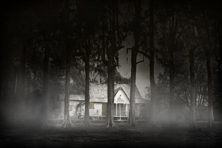 Night Woods by Christian Galicia